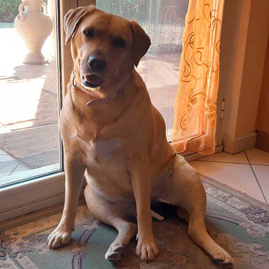 Lilly