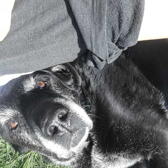 Zeus