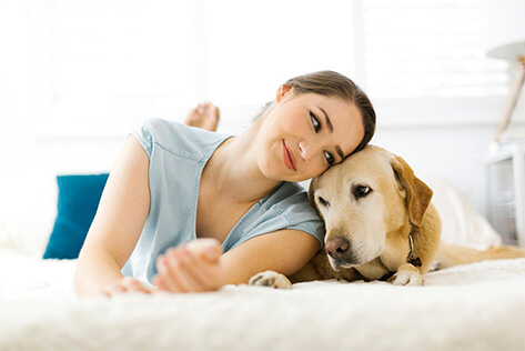 cosa fare quando muore il nostro animale domestico